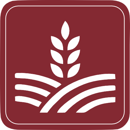 icons 01